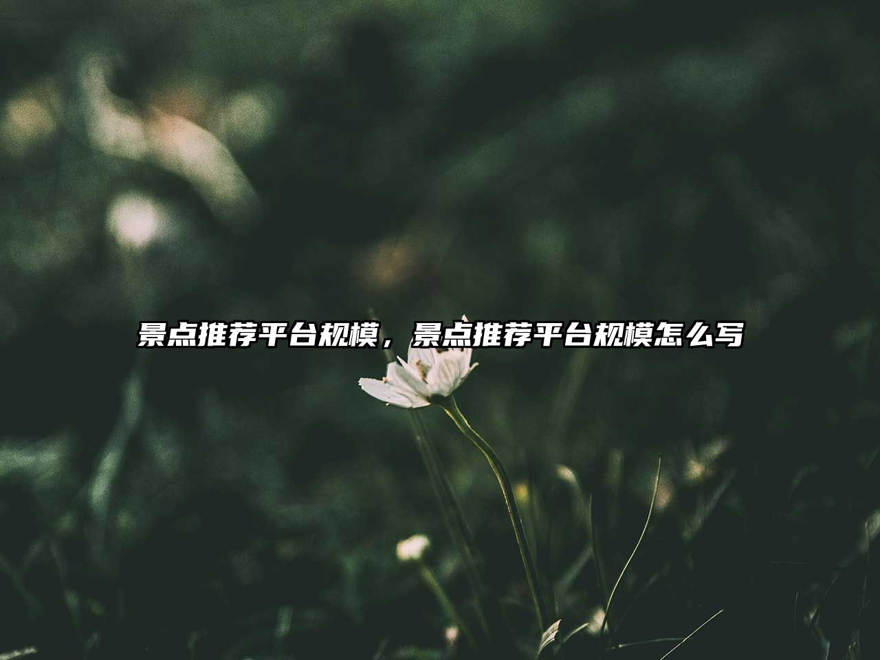 景點(diǎn)推薦平臺(tái)規(guī)模，景點(diǎn)推薦平臺(tái)規(guī)模怎么寫