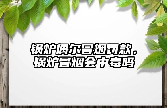 鍋爐偶爾冒煙罰款，鍋爐冒煙會(huì)中毒嗎