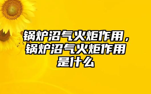 鍋爐沼氣火炬作用，鍋爐沼氣火炬作用是什么