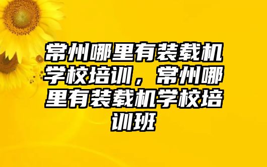 常州哪里有裝載機(jī)學(xué)校培訓(xùn)，常州哪里有裝載機(jī)學(xué)校培訓(xùn)班